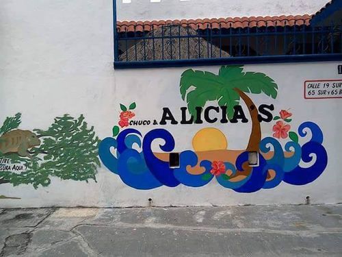 Alicia'S Bed & Breakfast Cozumel Bagian luar foto