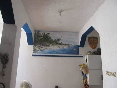 Alicia'S Bed & Breakfast Cozumel Bagian luar foto