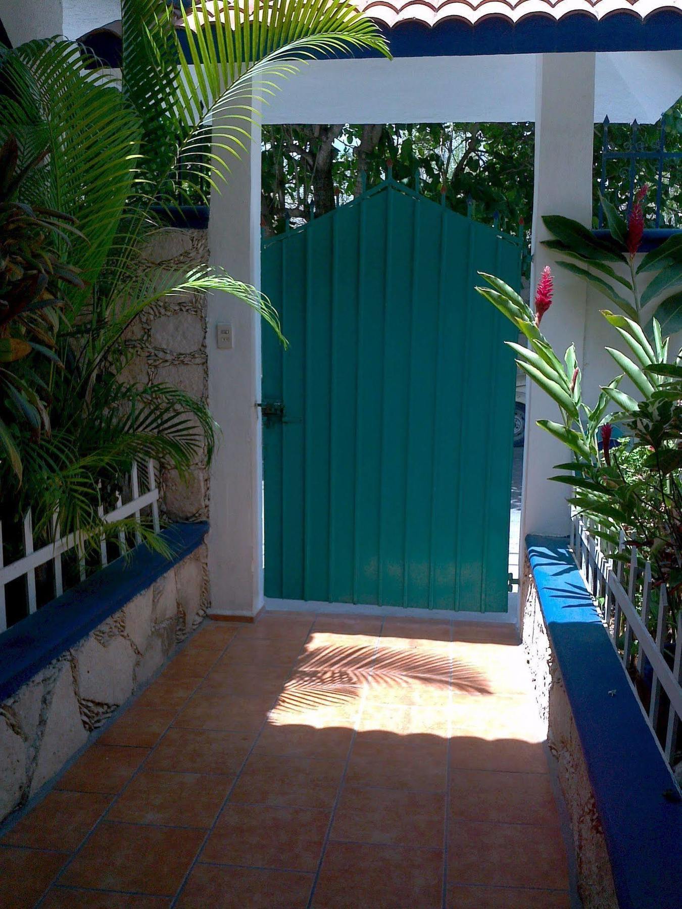 Alicia'S Bed & Breakfast Cozumel Bagian luar foto