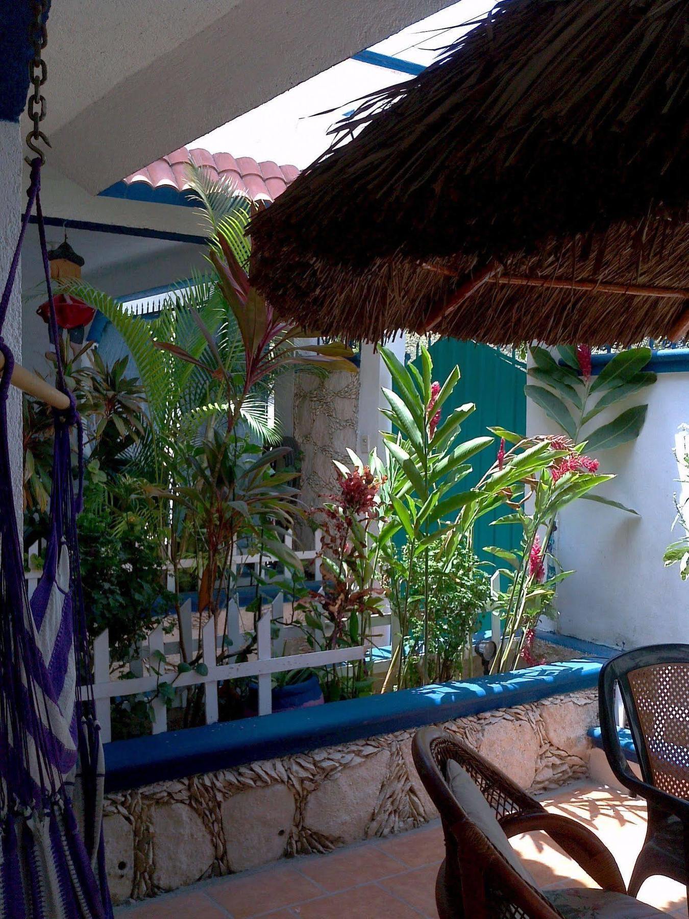 Alicia'S Bed & Breakfast Cozumel Bagian luar foto