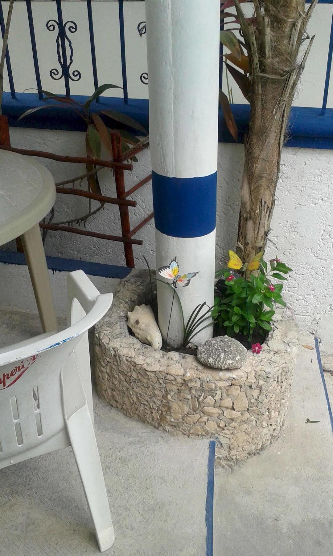 Alicia'S Bed & Breakfast Cozumel Bagian luar foto
