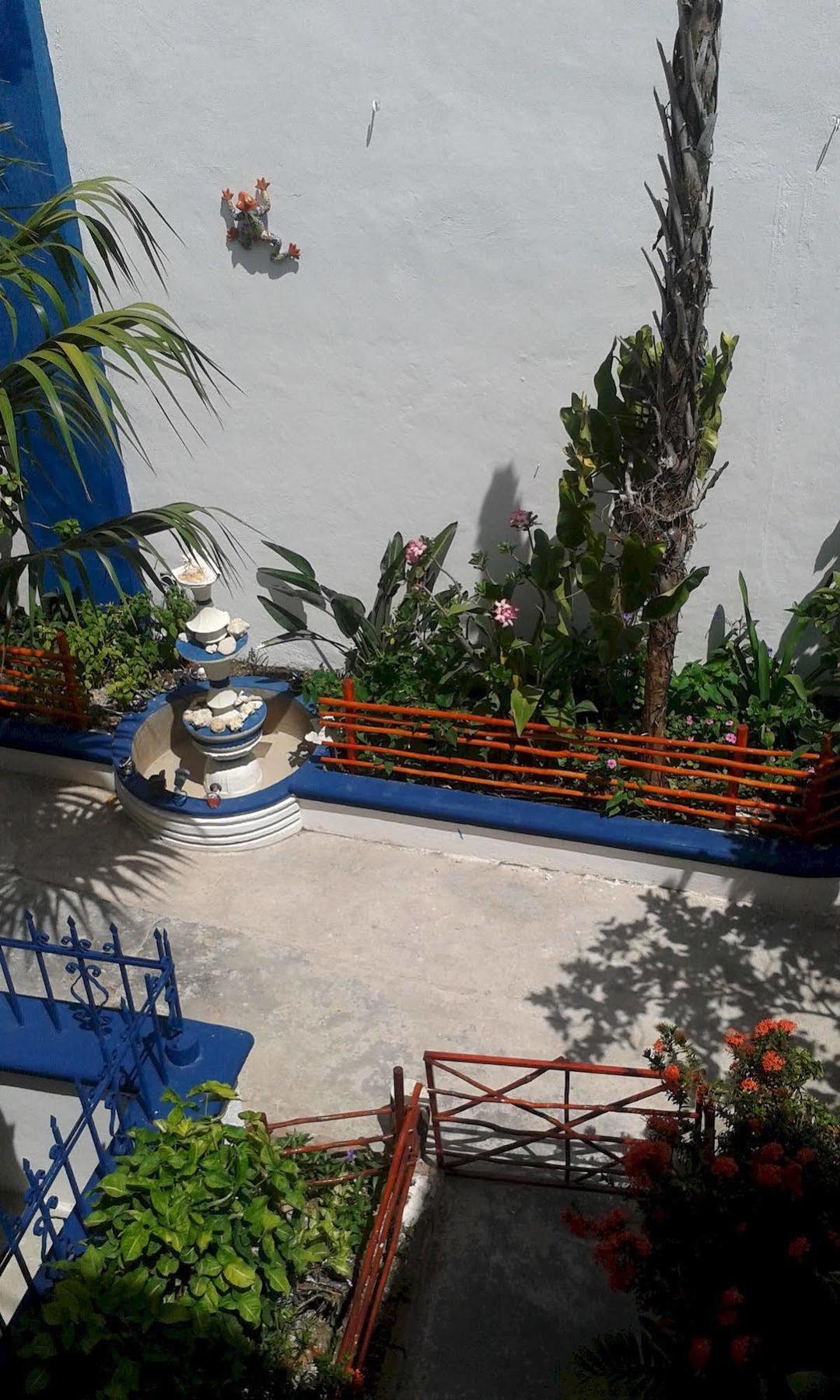 Alicia'S Bed & Breakfast Cozumel Bagian luar foto