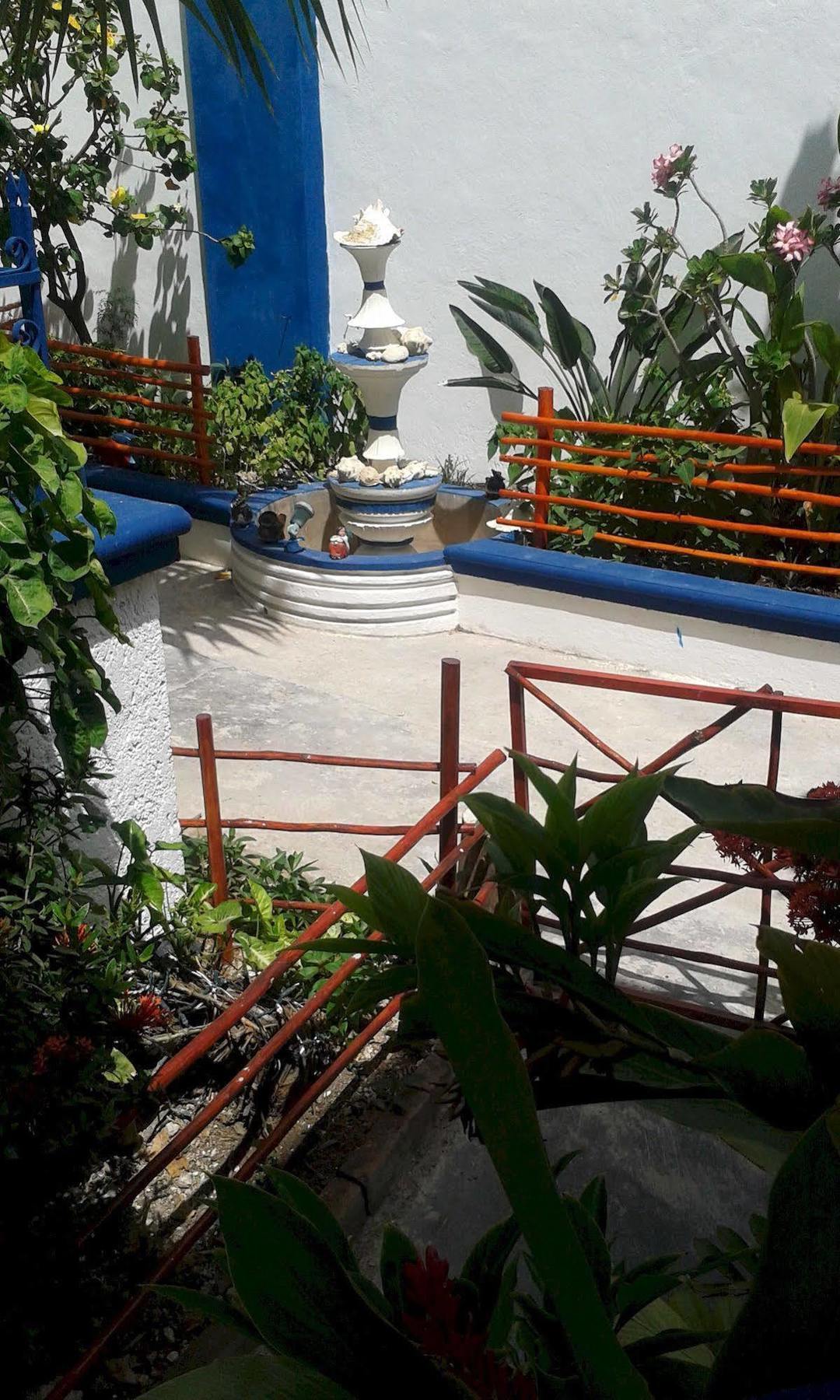 Alicia'S Bed & Breakfast Cozumel Bagian luar foto