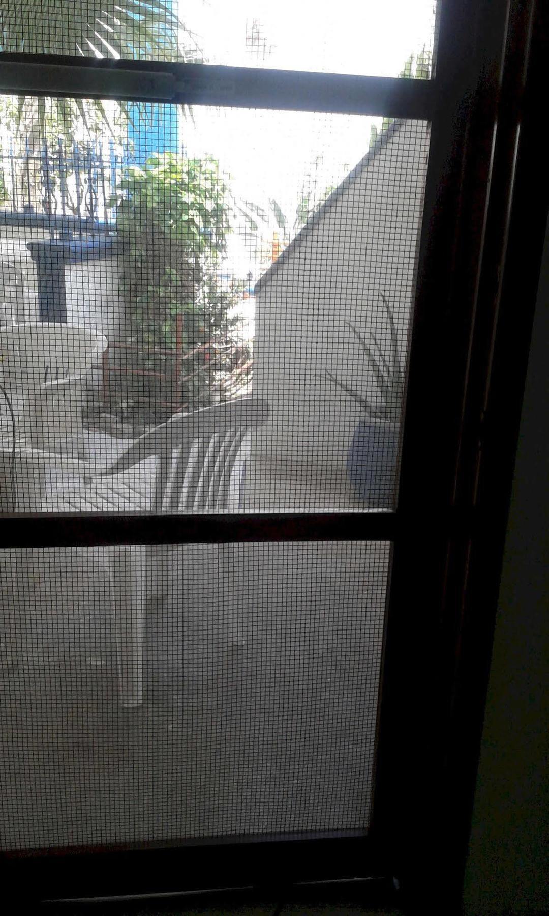 Alicia'S Bed & Breakfast Cozumel Bagian luar foto
